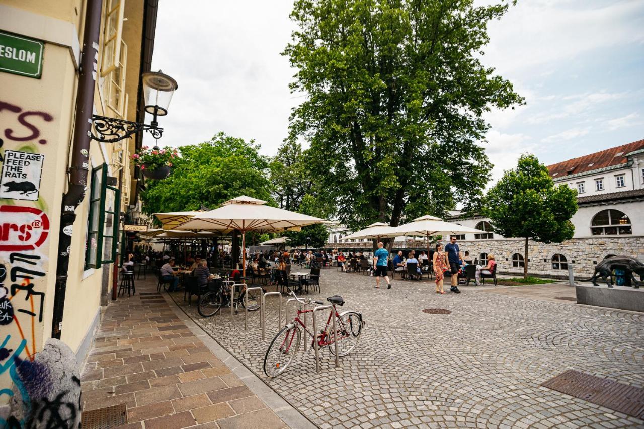 150 Steps To The Main Square Apartment Ljubljana Ngoại thất bức ảnh