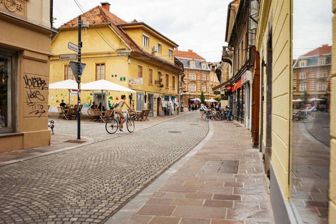 150 Steps To The Main Square Apartment Ljubljana Ngoại thất bức ảnh